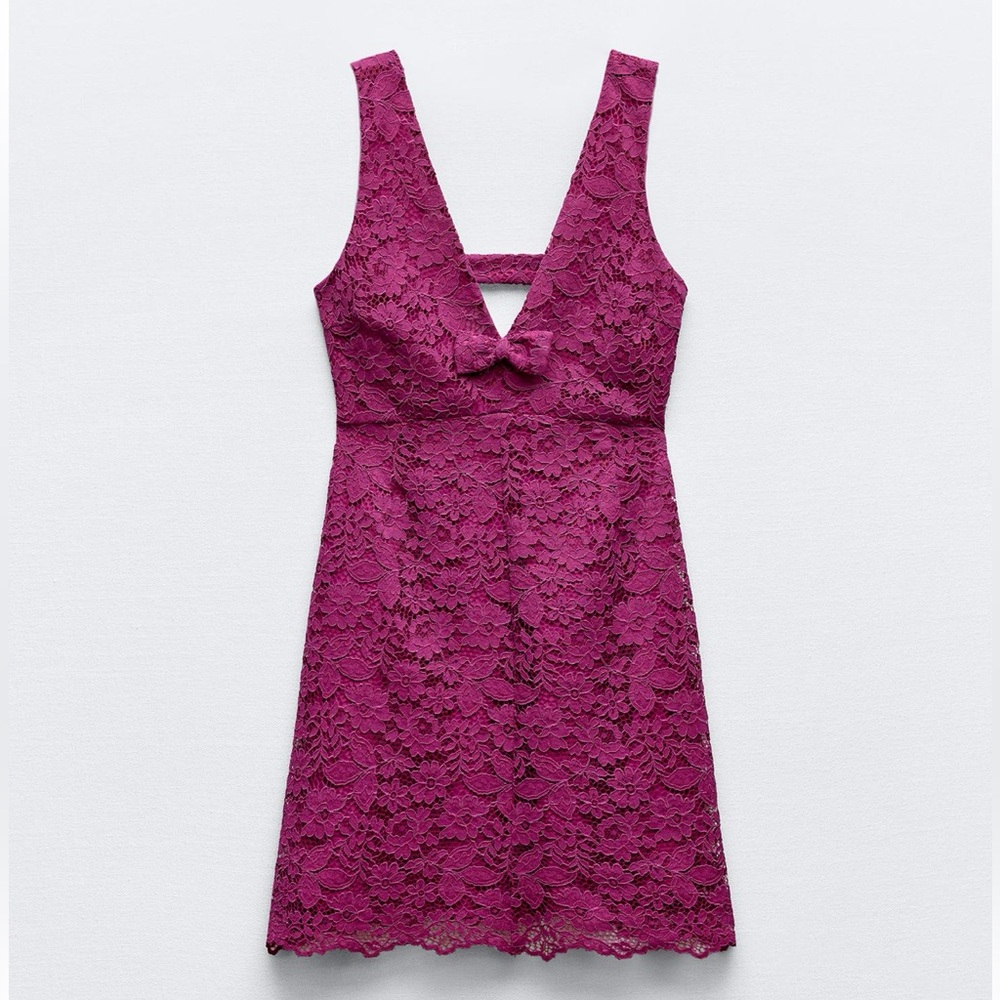 Zara nwt LACE MINI PINAFORE DRESS